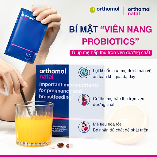 Bổ sung Probiotic - Cách chăm sóc sức khỏe toàn diện cho phụ nữ có thai & cho con bú