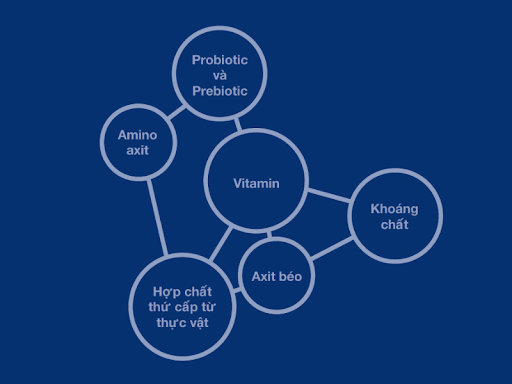 Điều gì làm nên chất lượng cao cấp của các sản phẩm Orthomol